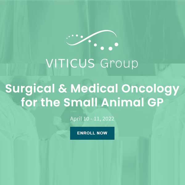 Surgical & Medical Oncology for the Small Animal GP