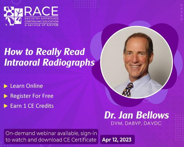 How to Really Read Intraoral Radiographs