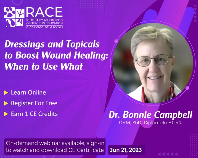 Dressings and Topicals to Boost Wound Healing: When to Use What