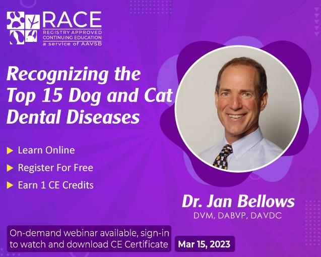 Live Webinar: Recognizing the Top 15 Dog and Cat Dental Diseases