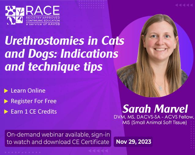 Urethrostomies in Cats and Dogs: Indications and technique tips
