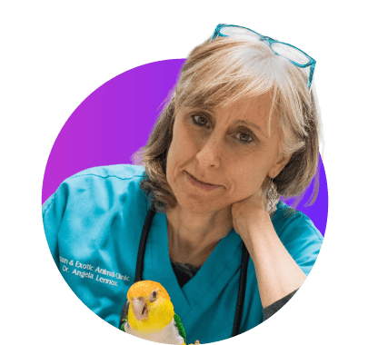 Sedation as an Alternative to Anesthesia in the Avian Patient
