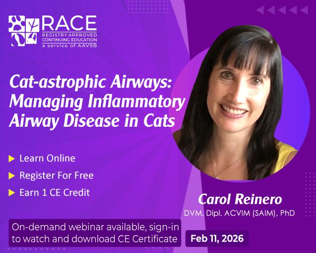 Cat-Astrophic Airways: Managing Inflammatory Airway Disease in Cats