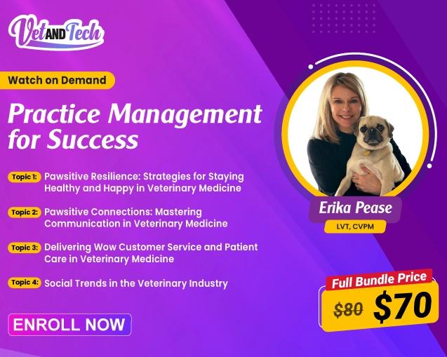 Practice Management for Success
