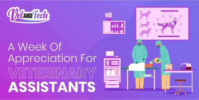 A Week of Appreciation for Veterinary Assistants | Vet and Tech
