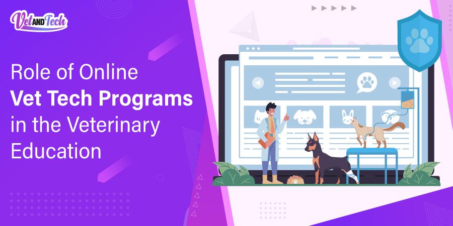 Role of Online Vet Tech Programs in Veterinary Education