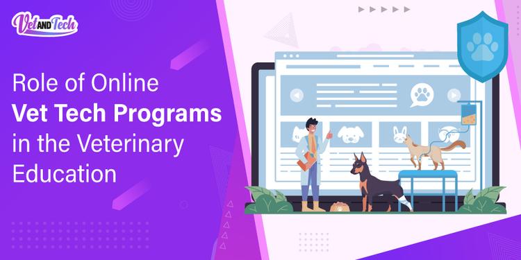 Role of Online Vet Tech Programs in the Veterinary Education