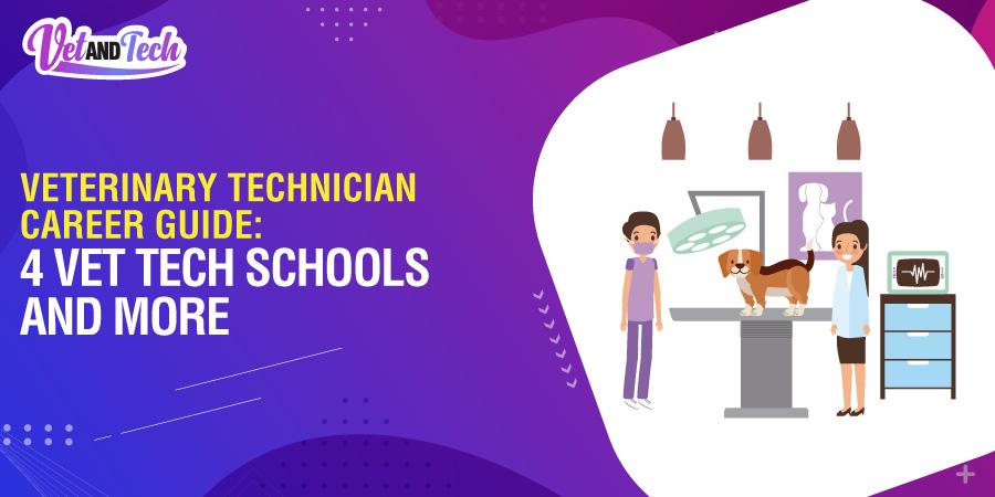 Vet Technician Career Guide: 4 Vet Tech Schools and More